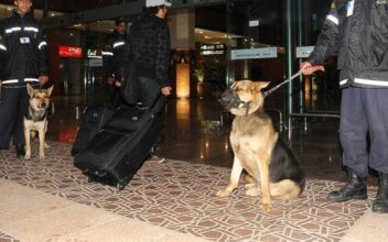 Gardiennage : le secteur veut s’organiser pour faire appliquer la loi