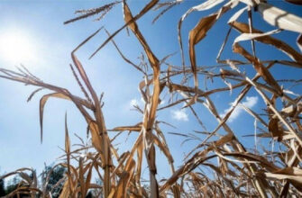 Saison agricole : grosses inquiétudes sur l'assèchement des barrages