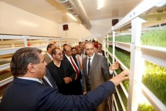 Souss-Massa: Les avancées du secteur agricole  présentées aux parlementaires