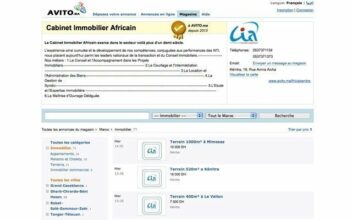 E-commerce : Avito lance ses magasins virtuels