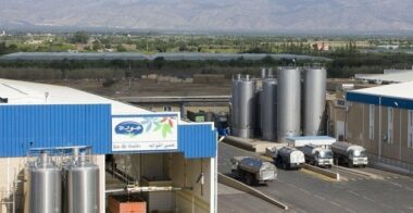 Copag et le suisse Millcorp formeront une coentreprise dans le stockage de grains céréales