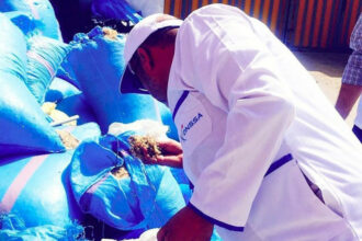 Le CESE alerte sur les lacunes de la sécurité sanitaire des aliments