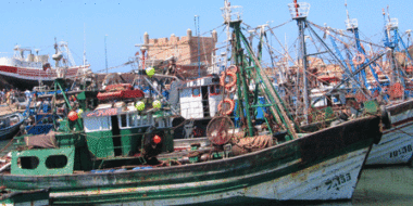 L’OMP fait l’objet d’une saisie exécutoire de plus de 10 MDH