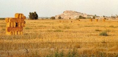 Plan Maroc Vert : un recensement agricole prévu en 2014