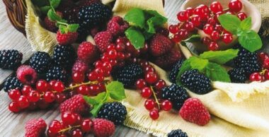 Fruits rouges. Superficies et rendements en baisse à cause du changement climatique