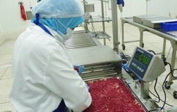 Pâtisserie : MFP parie sur le surgelé