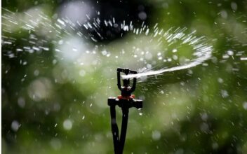 Agriculture : L’Etat mise sur la micro-irrigation