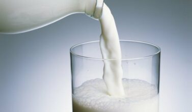 Bientôt un programme de soutien à la chaîne de production de lait