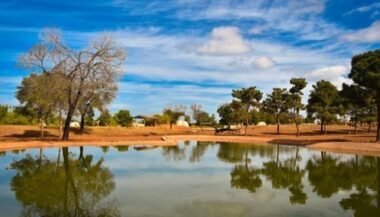 Le Zoo de Rabat dépassera en 2018 les 4 millions visiteurs depuis son ouverture