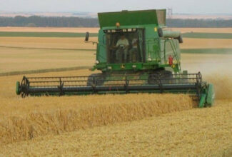 Céréales : les mesures pour assurer la commercialisation de la récolte nationale