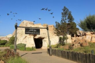 Zoo de Rabat: Le Moyen Atlas marocain &ldquo;revisité&rdquo;