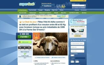 Les moutons, nouveaux produits-phares des sites du e-commerce