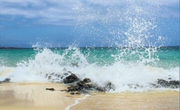 Plages: risque faible de contamination au Covid-19 (experts)