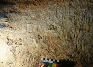 Les gravures rupestres de Berkane, véritables témoins de la présence humaine