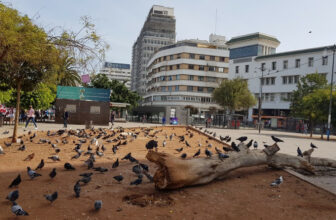 Entre sécheresse et pandémie, les femmes durement frappées par le chômage (T2 de 2020)