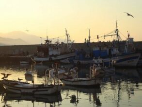 Pêche côtière et artisanale : hausse de 35% de la production nationale