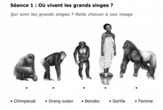 &ldquo;Où vivent les grands singes?&rdquo;, l'exercice de l'école Renan qui suscite l'indignation