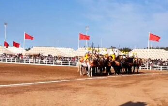SALON DU CHEVAL D'EL JADIDA, DOUZIÈME ÉDITION, Grand prix de sa majesté le Roi mohammed VI de Tbourida