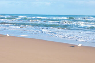 Plages: 27 Pavillons bleus pour la saison 2020