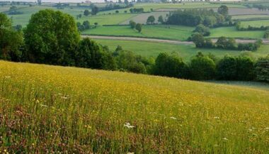 Une grande première: Un tribunal reconnaît aux femmes le droit d’hériter des terres collectives