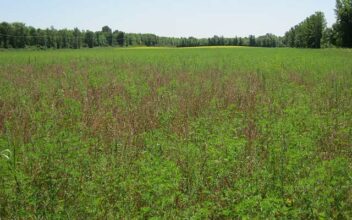 6.000 ha de terres agricoles domaniales mises en location longue durée