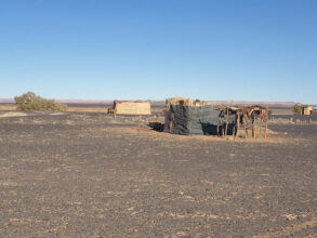 Interview. Dans le désert, des nomades &ldquo;oubliés&rdquo; suspendus à la solidarité associative