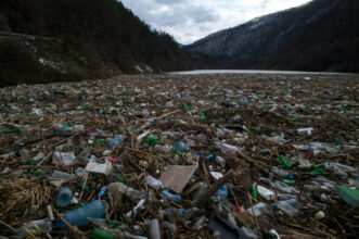 La croissance a un &ldquo;coût dévastateur&rdquo; pour la nature, selon un rapport