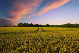 Un million d'hectares de terres collectives ouvert à la valorisation: voici comment en bénéficier