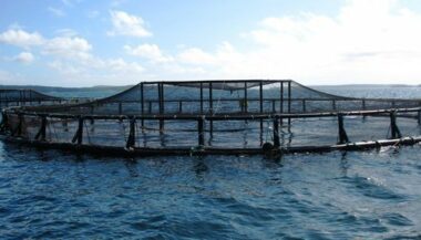 Maroc-UE : un projet de jumelage pour renforcer l’aquaculture
