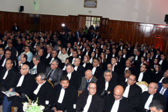 AMO : l'État et les avocats s'acheminent vers un accord