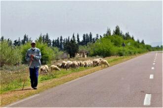 En 2022, les pertes d'emplois ont été enregistrées exclusivement en milieu rural (HCP)