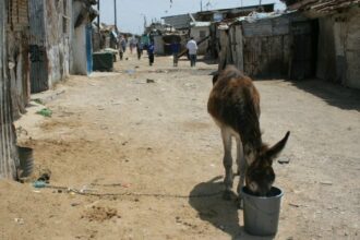 Casablanca: après El Ouasti, trois bidonvilles à Ain Sebaâ seront démolis, le conseil de la ville craint des protestations