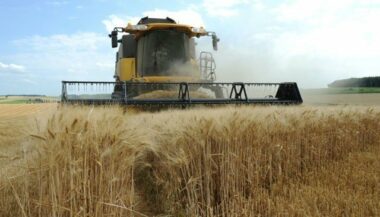 Exportations de blé: Face à la Russie, la France peine à reconquérir l'Afrique