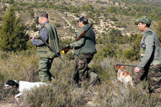 Ouverture de la prochaine saison de chasse le 2 octobre 2022 pour les principales espèces de gibier