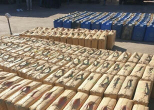 Douanes: 3 opérations menées en semaine, importante quantité de stups saisie