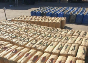 Cannabis : les saisies de la Douane en hausse de 500% en 2019