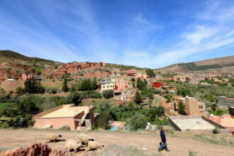 Séisme d’Al Haouz : les projets programmés dans le secteur agricole achevés ou en phase finale d’achèvement
