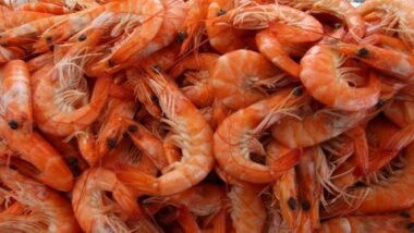 Crevettes : hausse de 34% de la production de la pêche