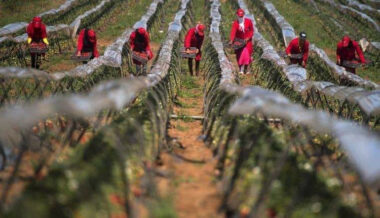 Coronavirus. Faut-il introduire le droit de retrait dans le droit marocain?