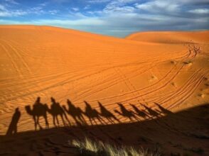 Les régions du sud lancent une série de mini-projets de tourisme durable