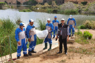 Lancée en juin, l'opération de lutte contre les nuisibles se poursuit à Casablanca