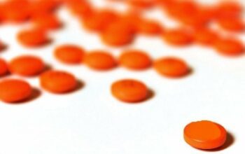 La DGSN et la police espagnole démantèlent un réseau de trafic de drogue