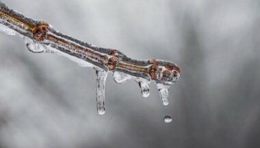 Baisse des températures à compter du mercredi 9 novembre