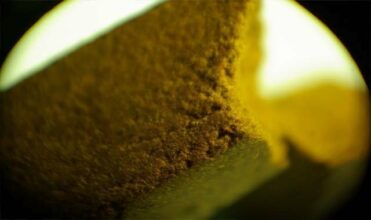 Saisie de plus de deux tonnes de chira près de Tétouan