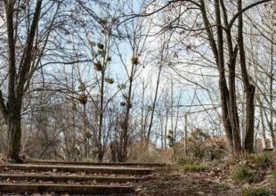 Météo: L'automne 2018 a été pluvieux, il est trop tôt pour cerner l'hiver (entretien)
