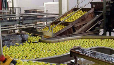 HCP: Contraction de 7,2% de l'économie marocaine au 3e trimestre 2020