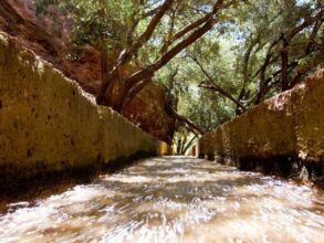 Des aides pour développer le « pompage solaire »