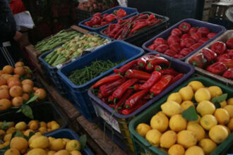 Marché de gros à Casablanca : hausse notable des viandes rouges (3e semaine de Ramadan)