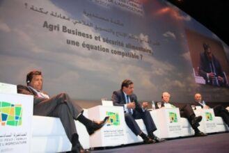L’agri-business,  complément naturel  du Plan Maroc Vert