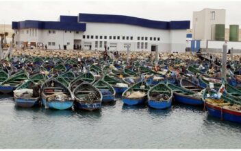 Sahara: Un diagnostic sévère et sans complaisance